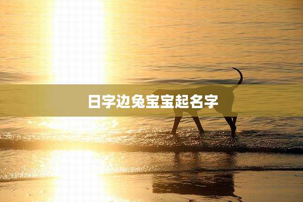 日字边兔宝宝起名字