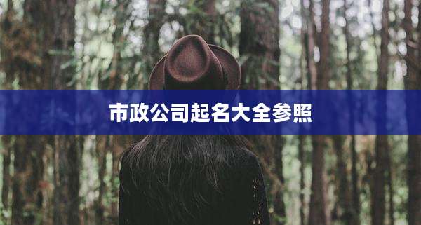 市政公司起名大全参照