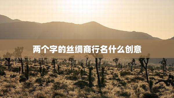 两个字的丝绸商行名什么创意