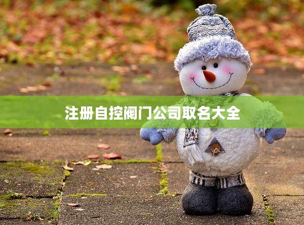 注册自控阀门公司取名大全