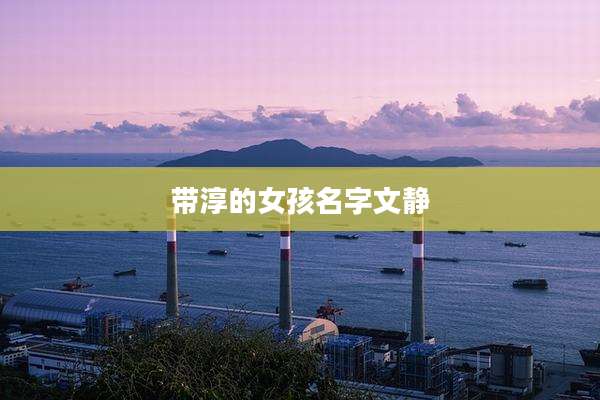 带淳的女孩名字文静