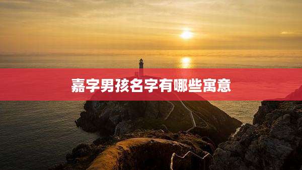 嘉字男孩名字有哪些寓意