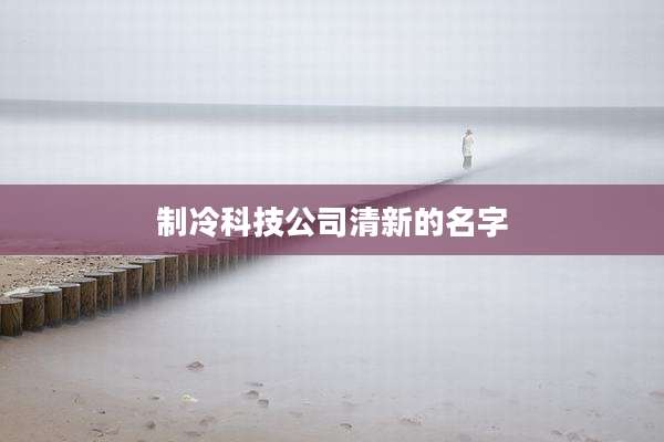 制冷科技公司清新的名字