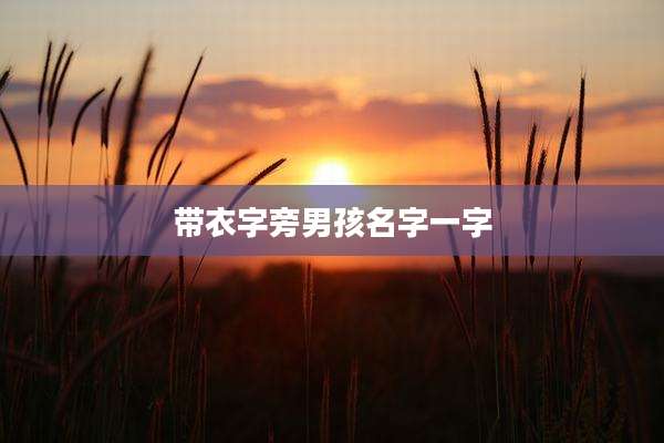 带衣字旁男孩名字一字