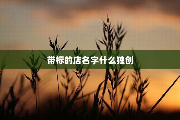 带标的店名字什么独创