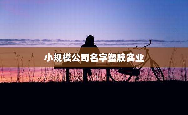 小规模公司名字塑胶实业