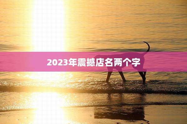 2023年震撼店名两个字