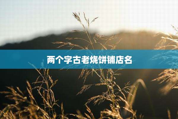 两个字古老烧饼铺店名