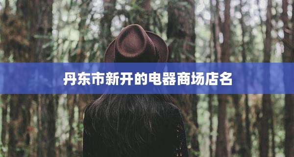 丹东市新开的电器商场店名