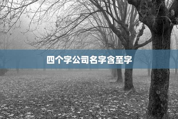 四个字公司名字含至字