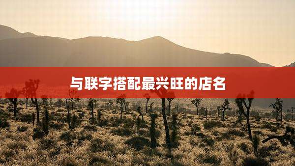 与联字搭配最兴旺的店名