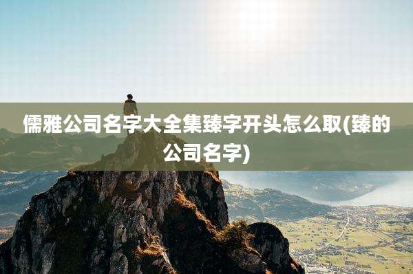 儒雅公司名字大全集臻字开头怎么取(臻的公司名字)