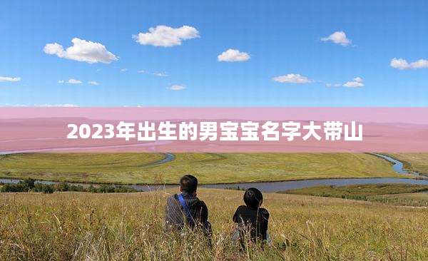 2023年出生的男宝宝名字大带山
