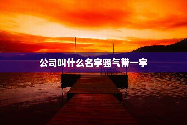 公司叫什么名字骚气带一字