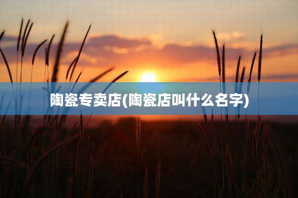 陶瓷专卖店(陶瓷店叫什么名字)