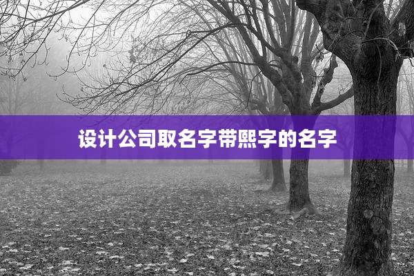 设计公司取名字带熙字的名字