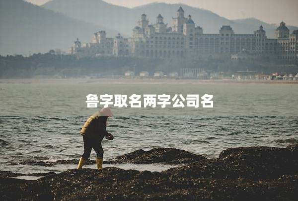 鲁字取名两字公司名
