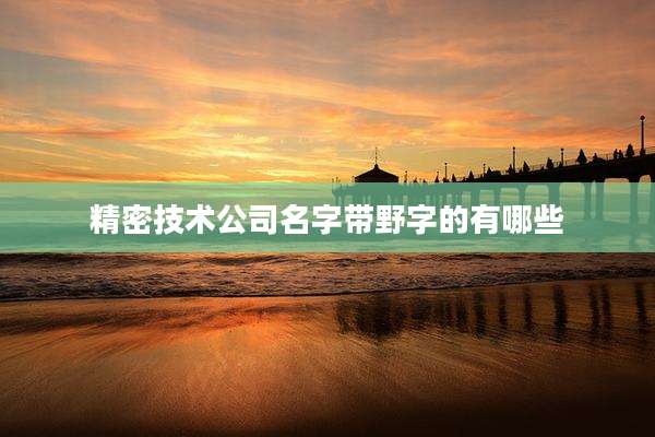 精密技术公司名字带野字的有哪些