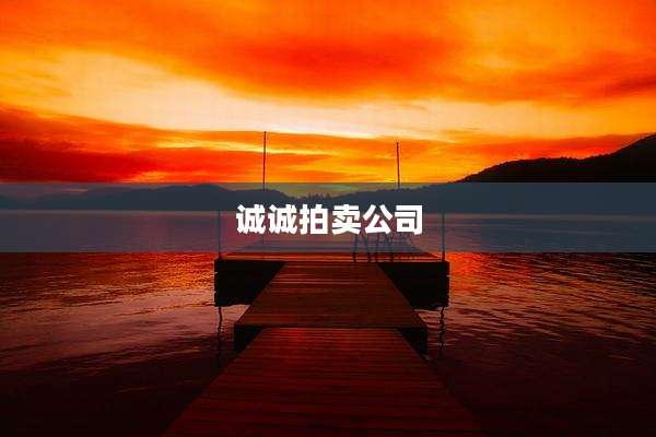 诚诚拍卖公司