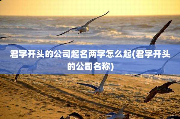 君字开头的公司起名两字怎么起(君字开头的公司名称)