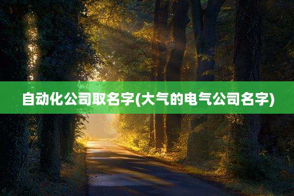 自动化公司取名字(大气的电气公司名字)
