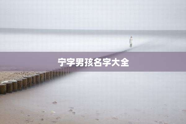宁字男孩名字大全