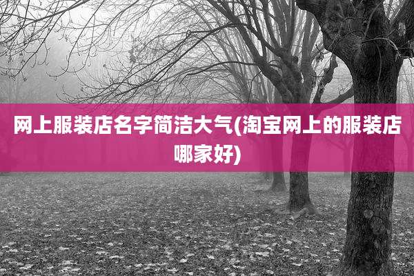 网上服装店名字简洁大气(淘宝网上的服装店哪家好)