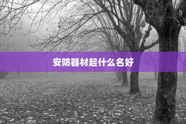 安防器材起什么名好