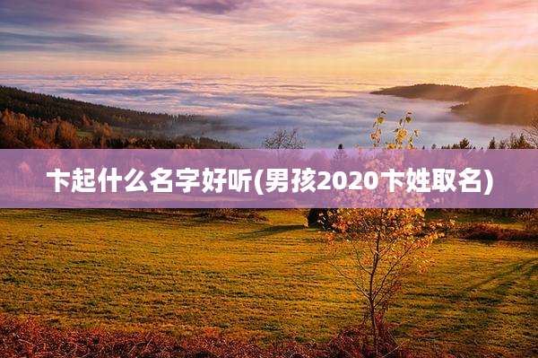 卞起什么名字好听(男孩2020卞姓取名)
