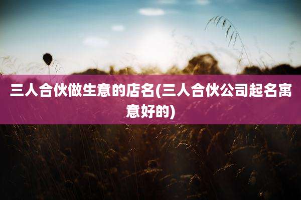三人合伙做生意的店名(三人合伙公司起名寓意好的)