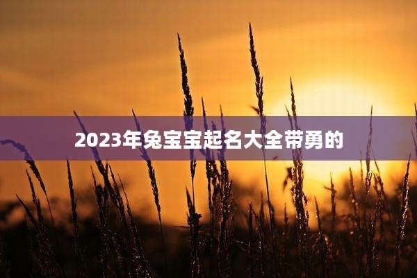 2023年兔宝宝起名大全带勇的