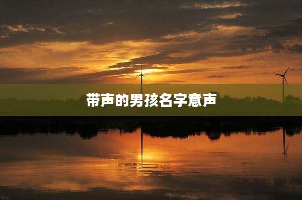 带声的男孩名字意声