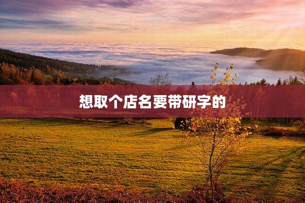 想取个店名要带研字的
