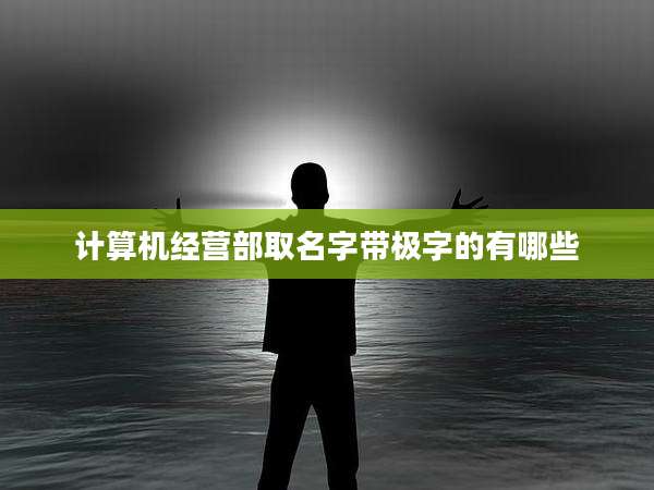 计算机经营部取名字带极字的有哪些