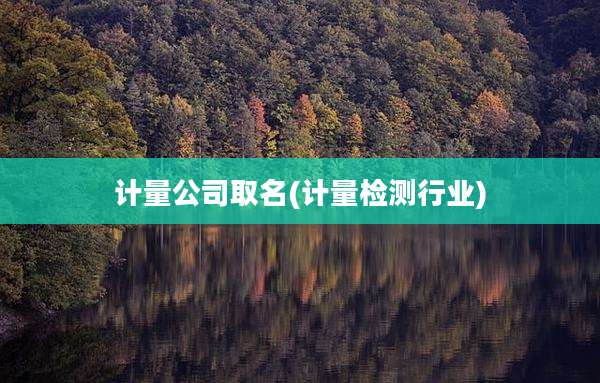 计量公司取名(计量检测行业)
