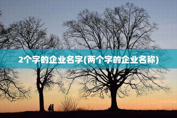 2个字的企业名字(两个字的企业名称)