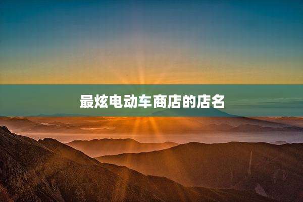 最炫电动车商店的店名