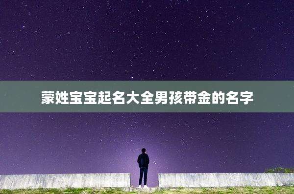 蒙姓宝宝起名大全男孩带金的名字