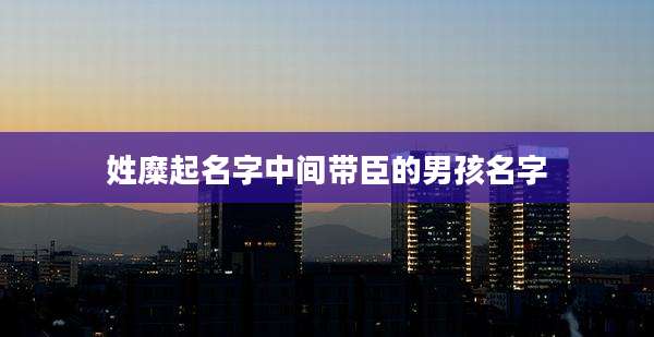 姓糜起名字中间带臣的男孩名字