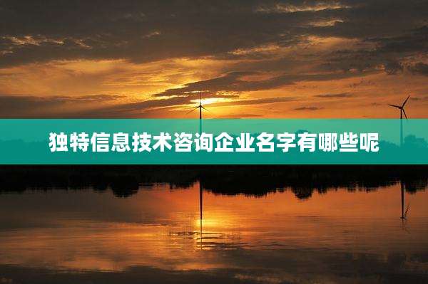 独特信息技术咨询企业名字有哪些呢