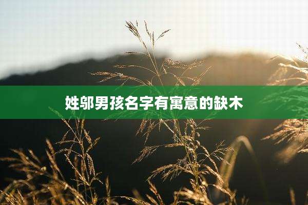 姓邬男孩名字有寓意的缺木