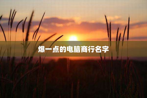 爆一点的电脑商行名字