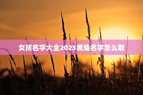 女孩名字大全2023属兔名字怎么取