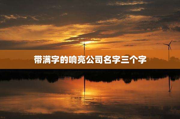 带满字的响亮公司名字三个字