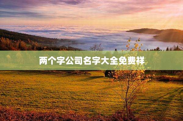 两个字公司名字大全免费祥