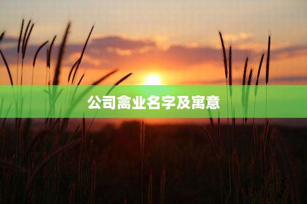公司禽业名字及寓意
