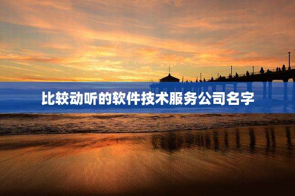 比较动听的软件技术服务公司名字