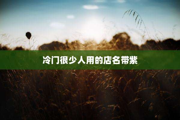 冷门很少人用的店名带紫