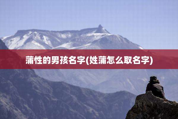 蒲性的男孩名字(姓蒲怎么取名字)