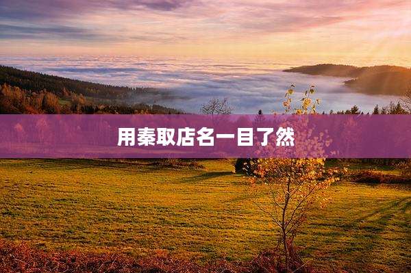 用秦取店名一目了然